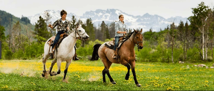 Confident plus-size woman riding Pudsey a horse through a field with a smile on her face.